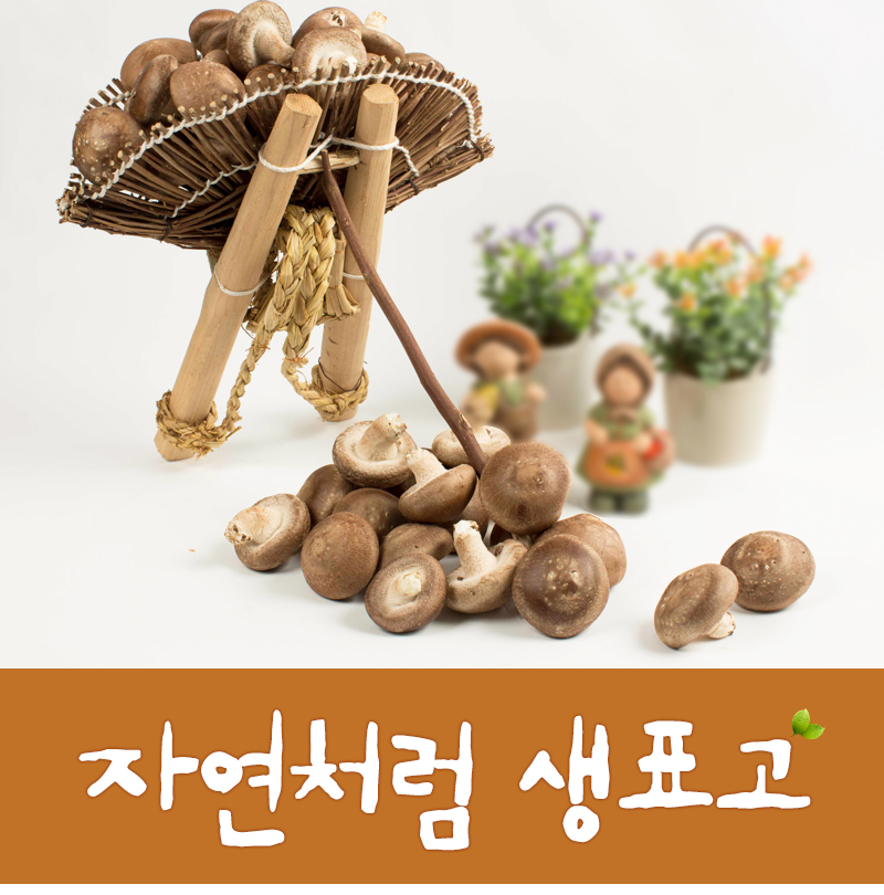 자연처럼표고버섯