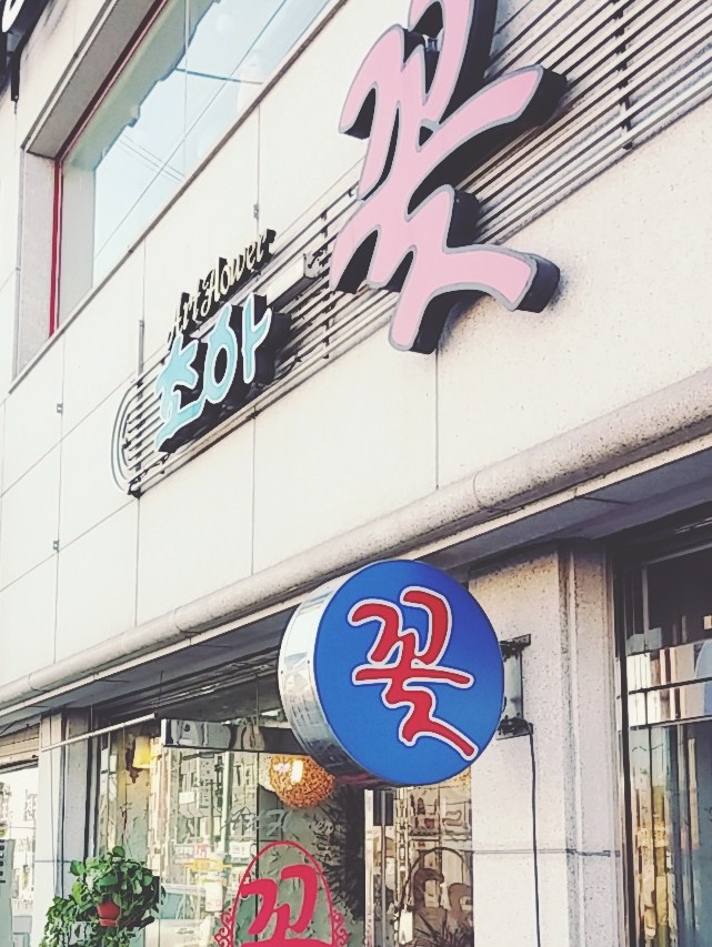 초아꽃