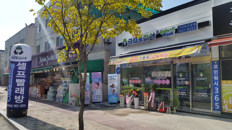 크린토피아 코인워시 수완베르힐점