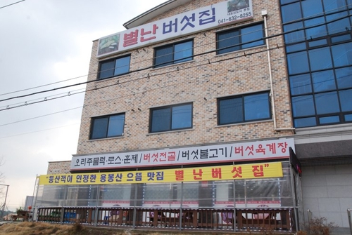 별난버섯집