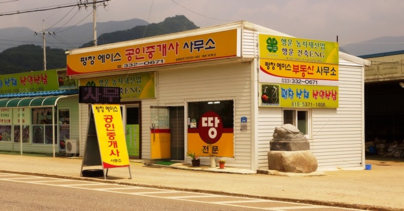 에이스