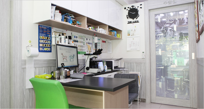 애니케어동물병원 대표 이미지