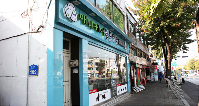 애니케어동물병원 대표 이미지