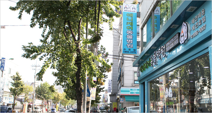 애니케어동물병원 이미지