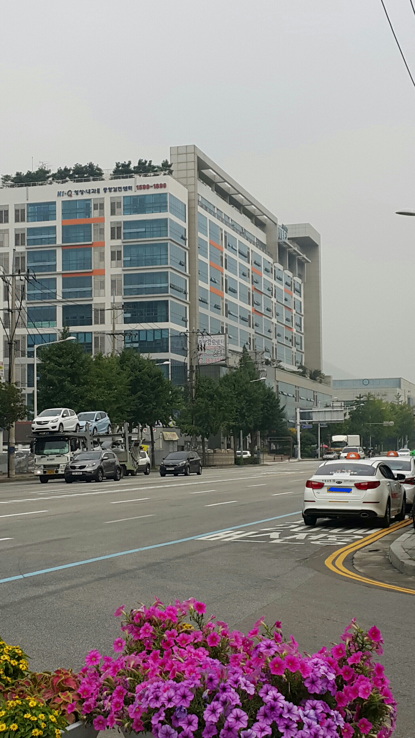 에스오텍