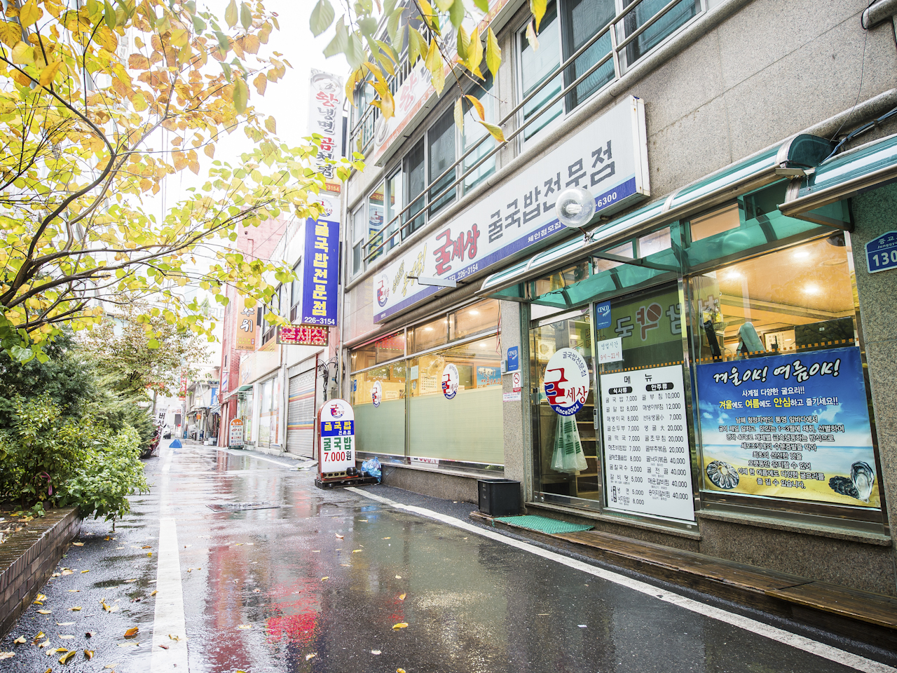 굴세상