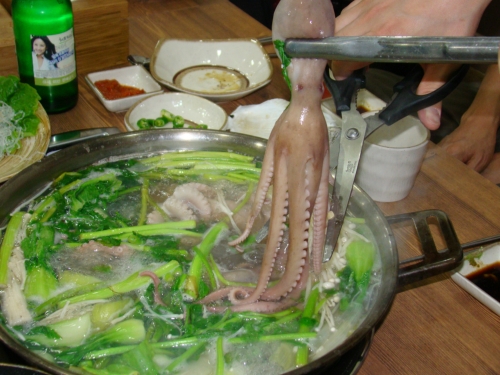 간월도 대표 이미지