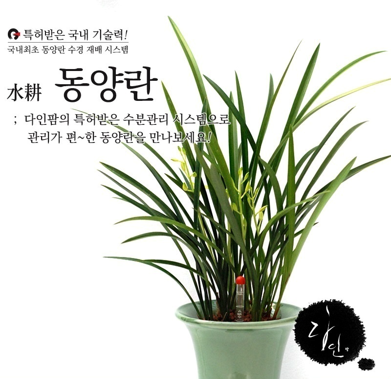 다인팜