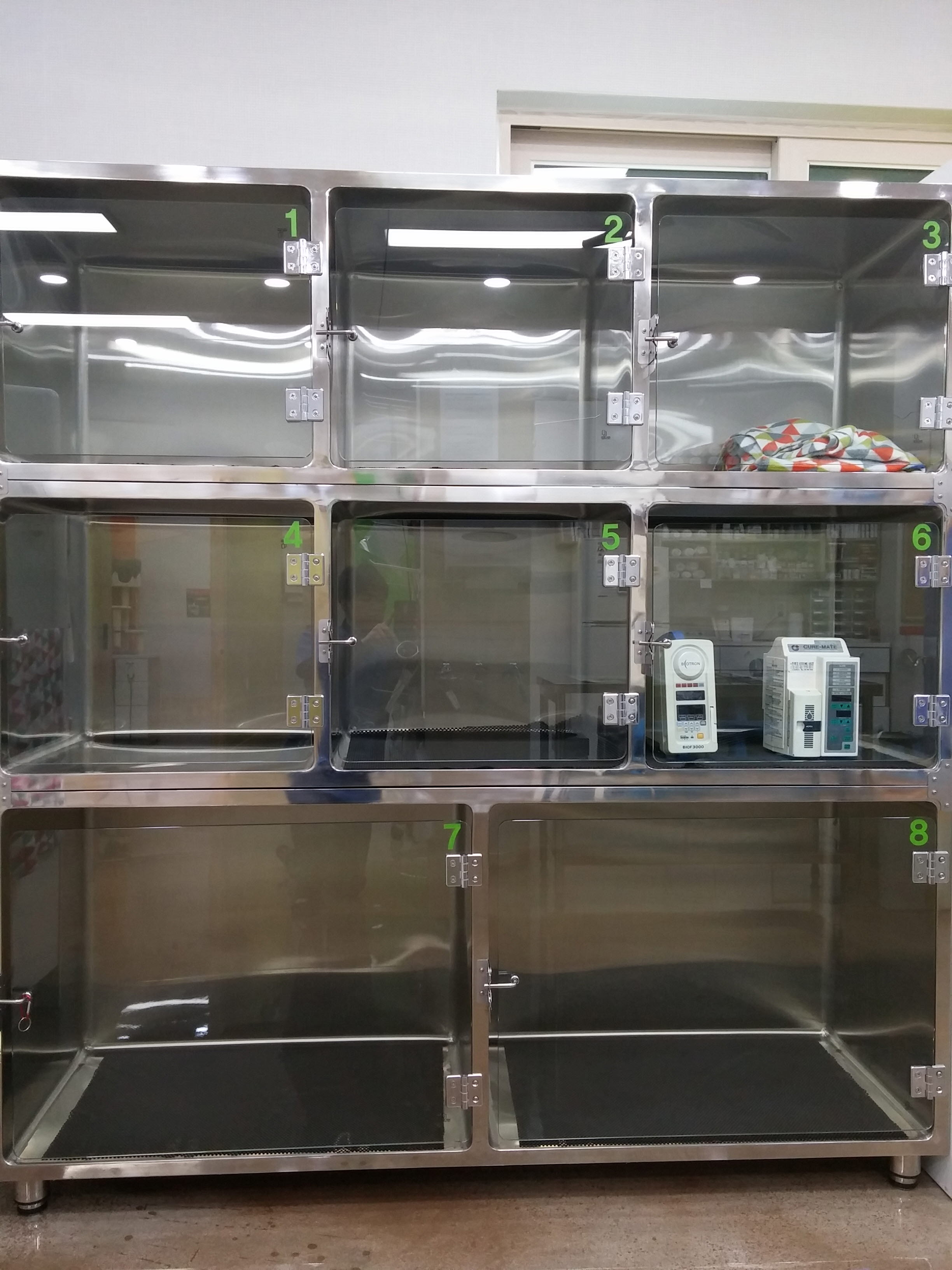 영주동물병원 대표 이미지