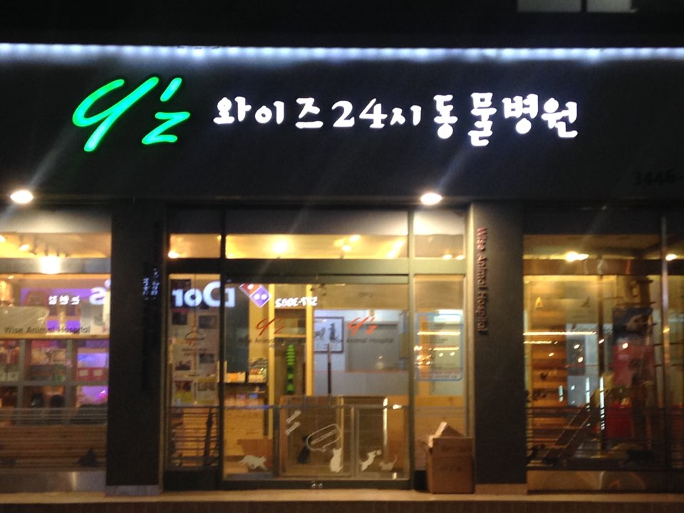 와이즈24시동물병원 대표 이미지