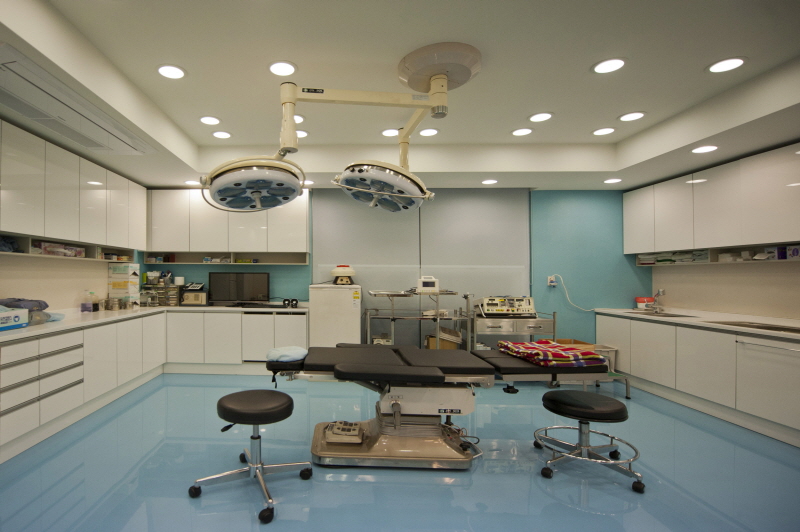 지오성형외과 대표 이미지