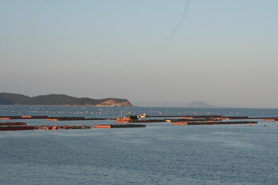 완도전복생산자협동조합