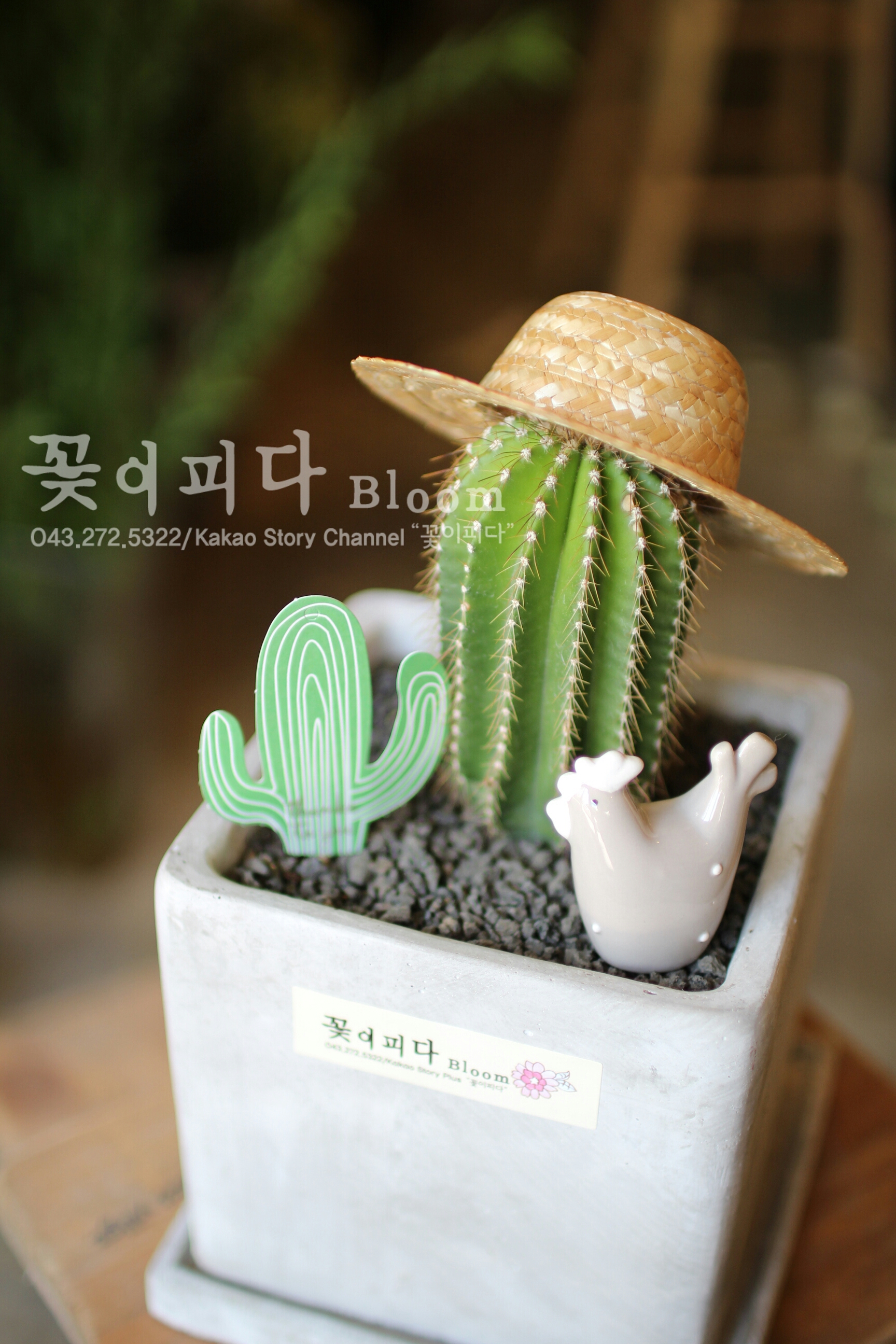 꽃이피다