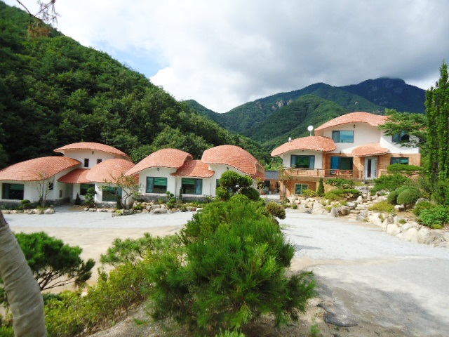 보은 속리산천왕봉가는길에펜션 경쟁 제품과 비교 이미지