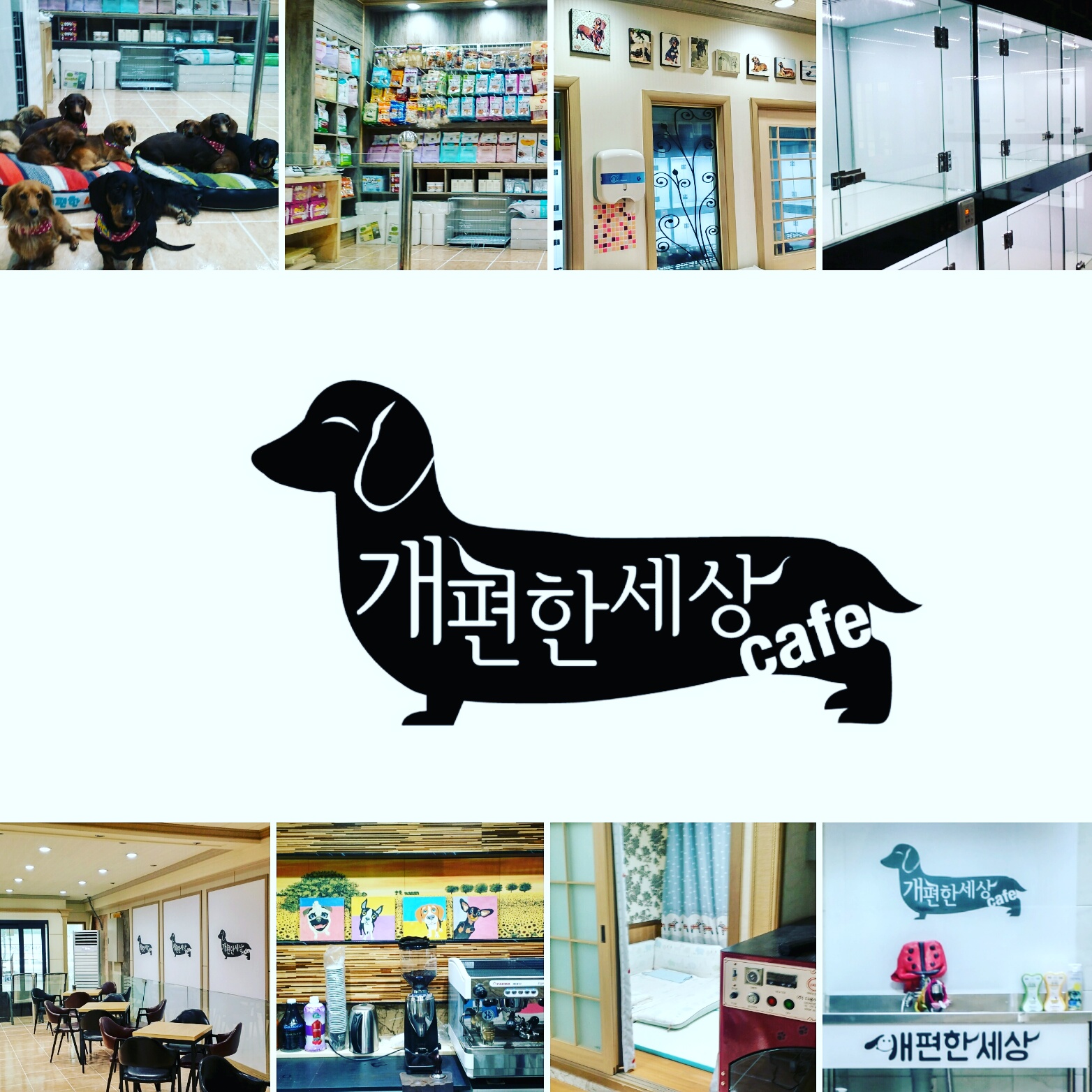 개편한세상 대표 이미지