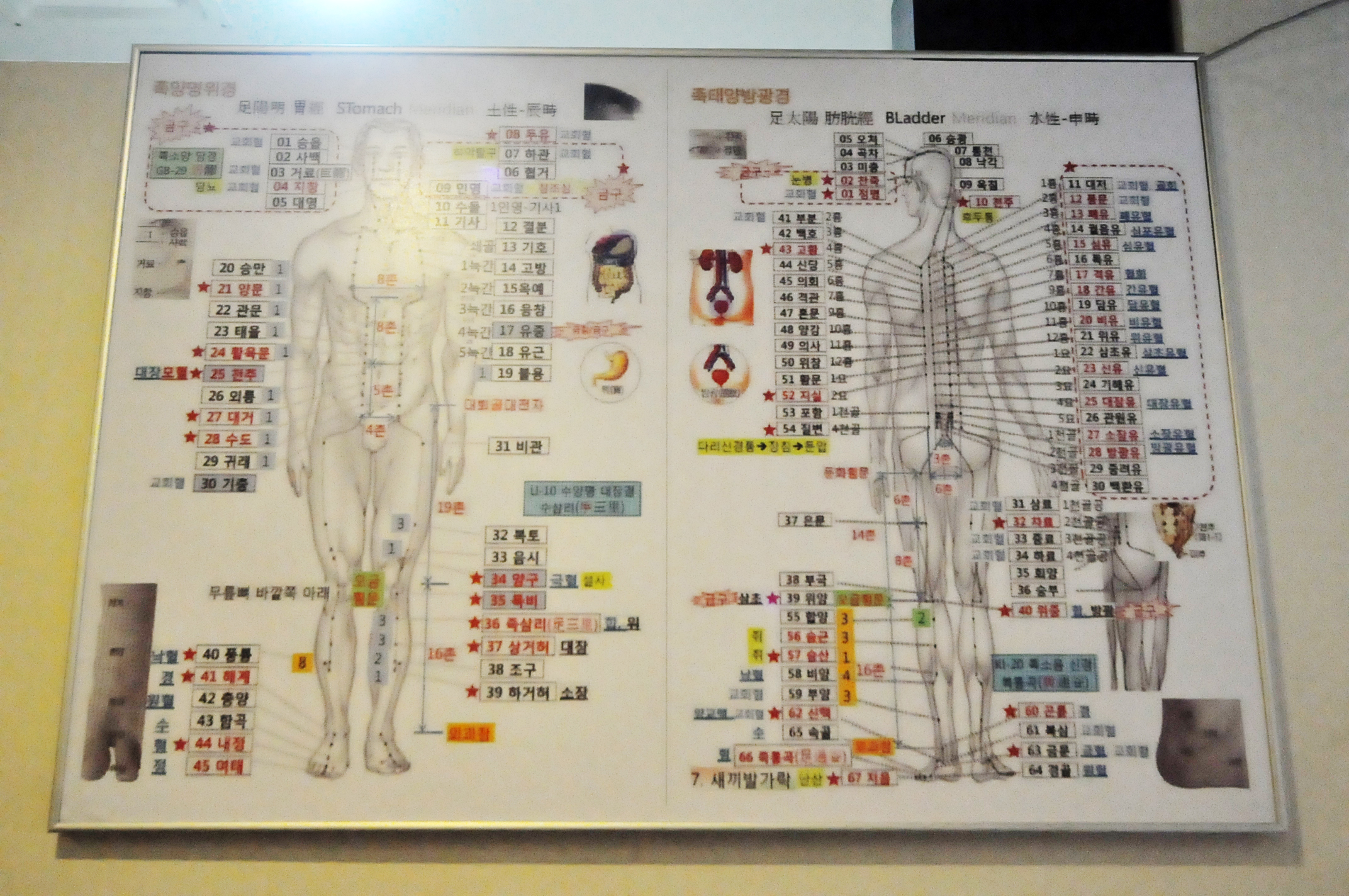 황금약손마사지 photo 9
