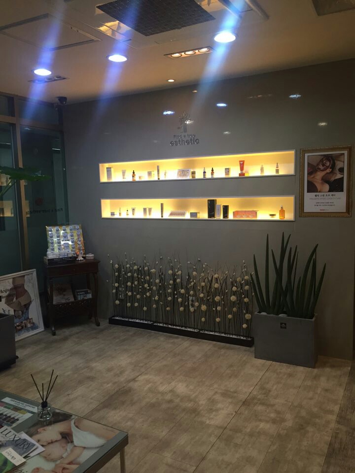파인더트리 에스테틱
