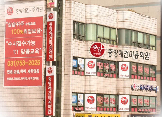 중앙애견미용학원 성남모란점