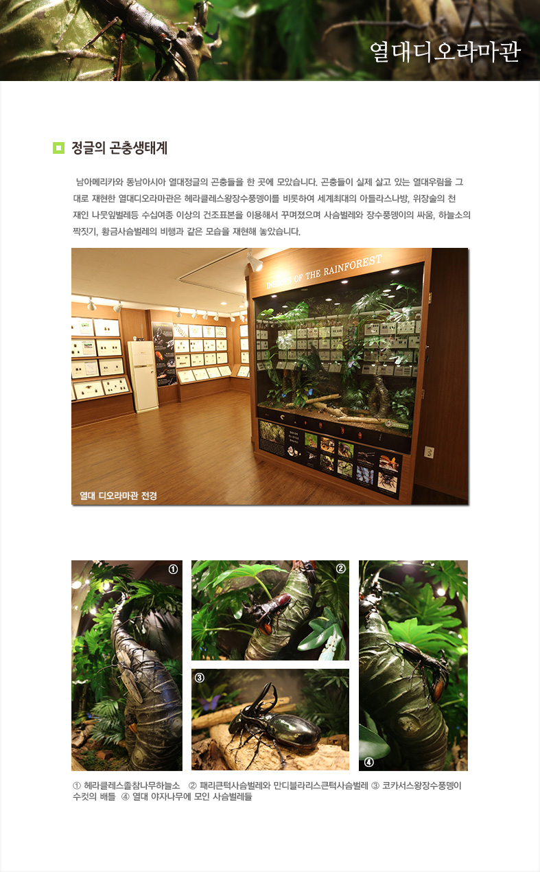 충우곤충연구소