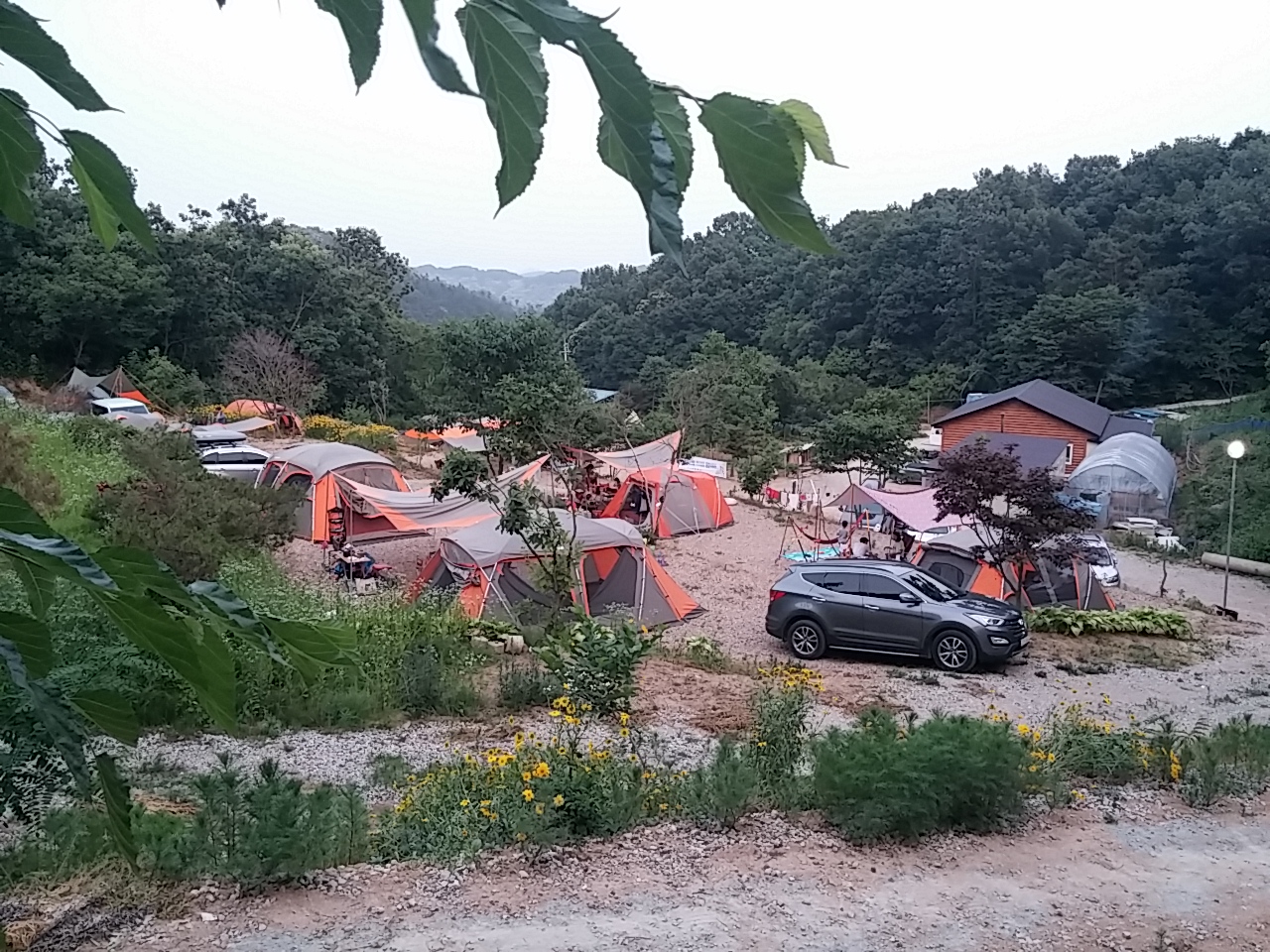 일월관광농원 캠핑장