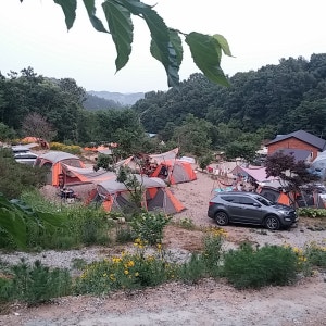 일월관광농원캠핑장