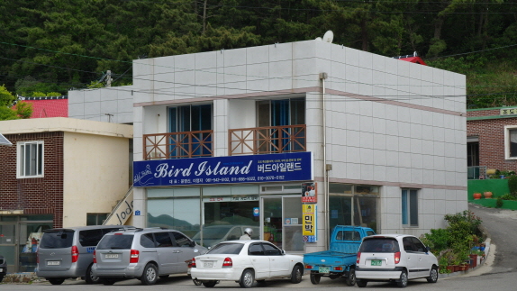 버드아일랜드
