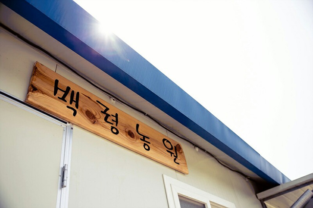 정선임계백령사과농원