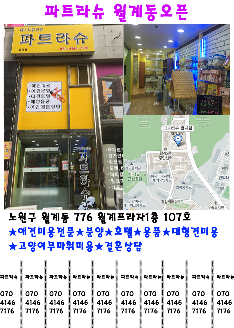 경기 구리시 애견용품 전문업체 추천 강아지스카프 애견용품샵 강아지목줄 강아지쿨나시 강아지쿨조끼 파트라슈애견미용실
