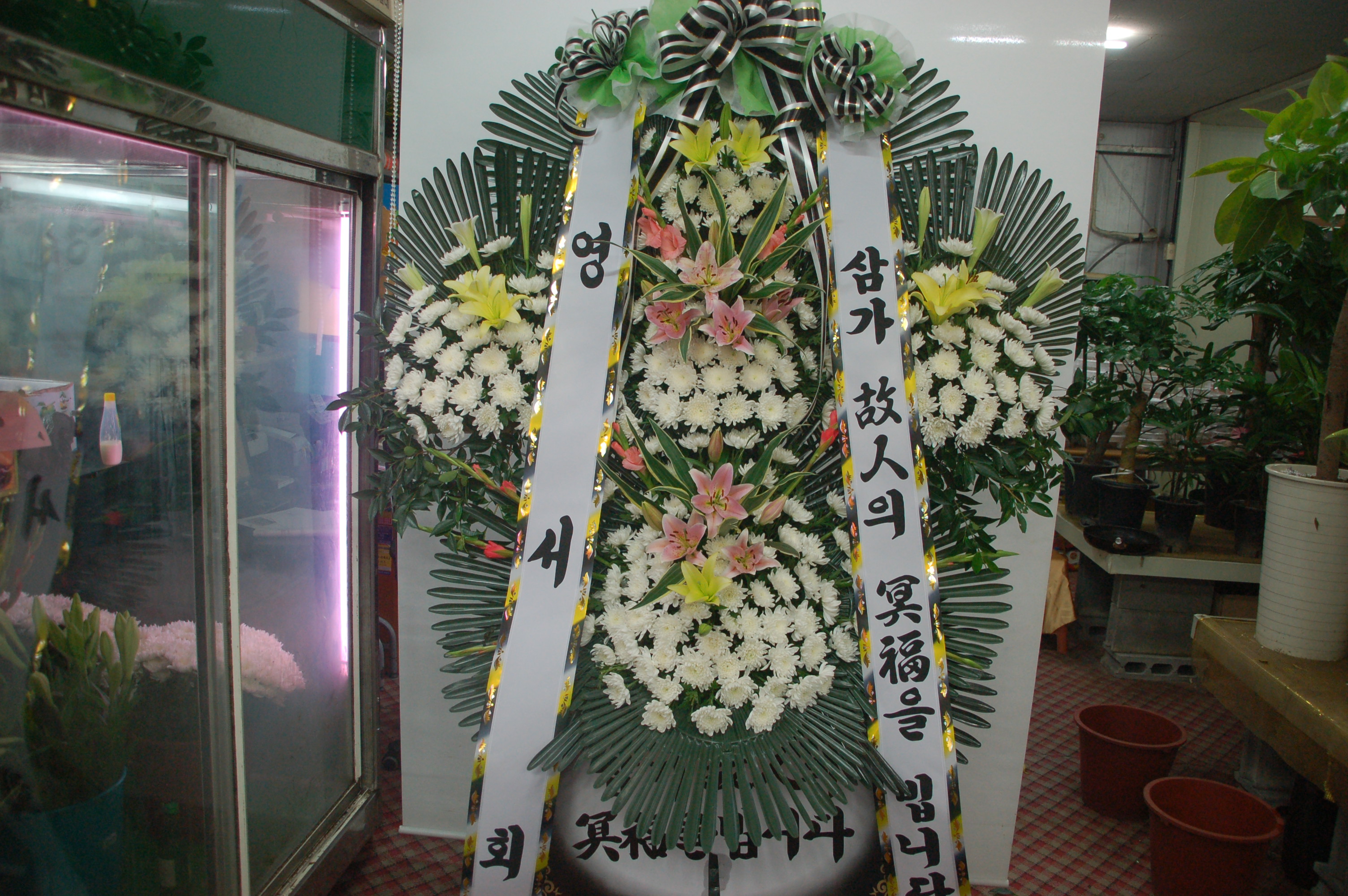 파라다이스꽃배달 대표 이미지