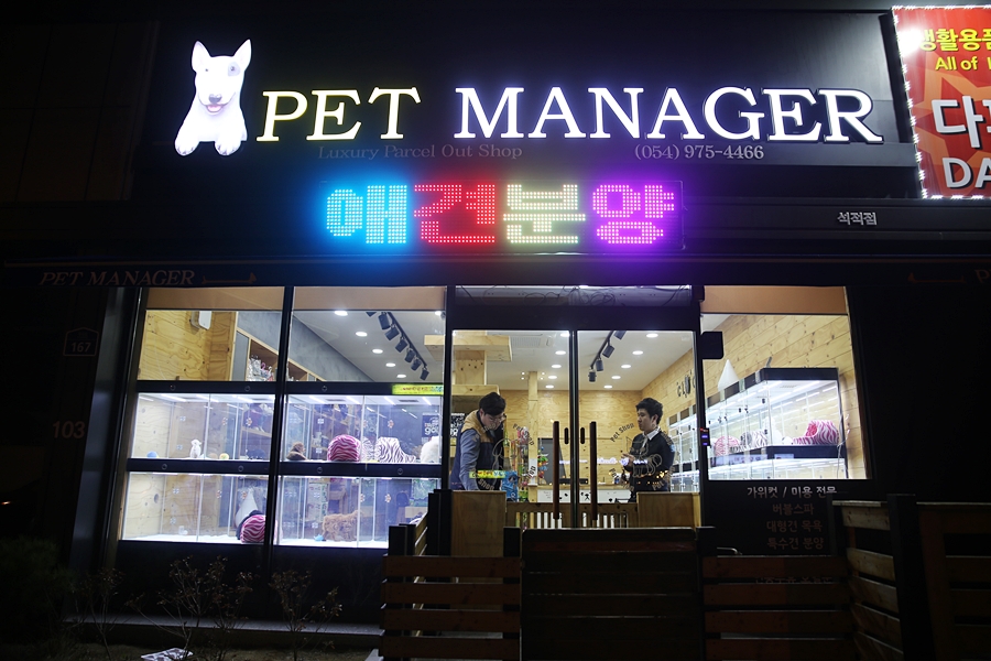 펫매니저 석적점