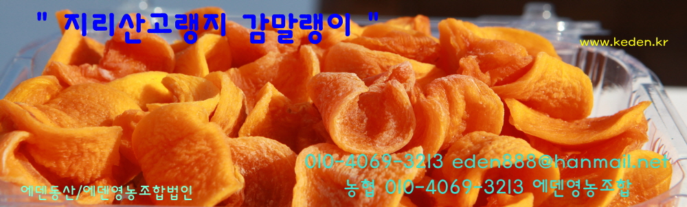 축복의땅 에덴동산