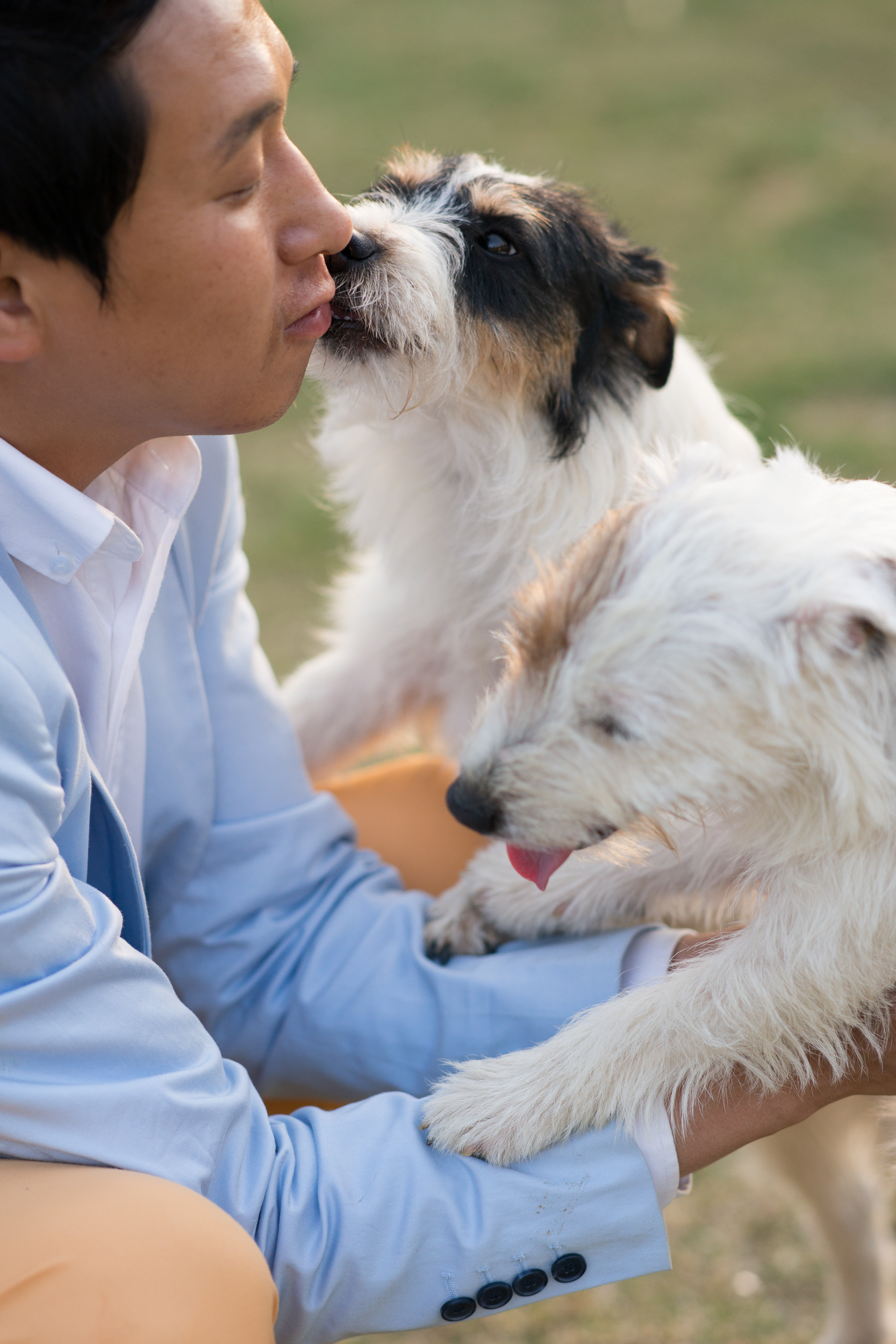 도기파파반려견학교 대표 이미지