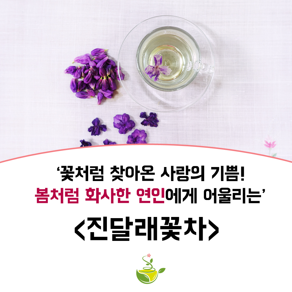 한국꽃차문화아카데미