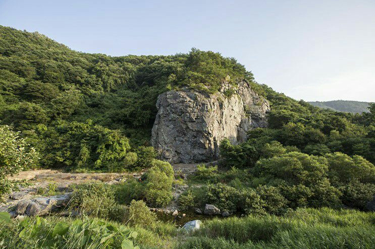 죽장학담암 산약초농원