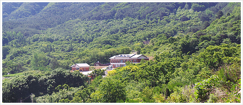 산수유자연휴양림
