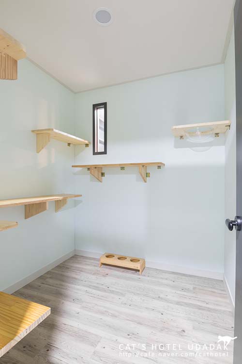 우다닥 고양이 호텔 인천점 대표 이미지