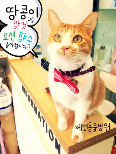 제연동물병원 대표 이미지