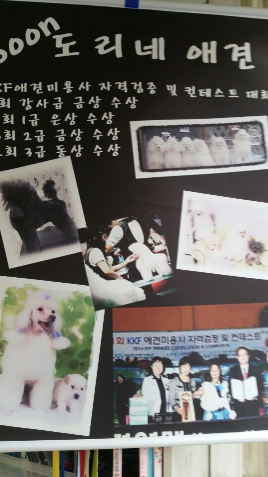 순도리네애견샵 대표 이미지