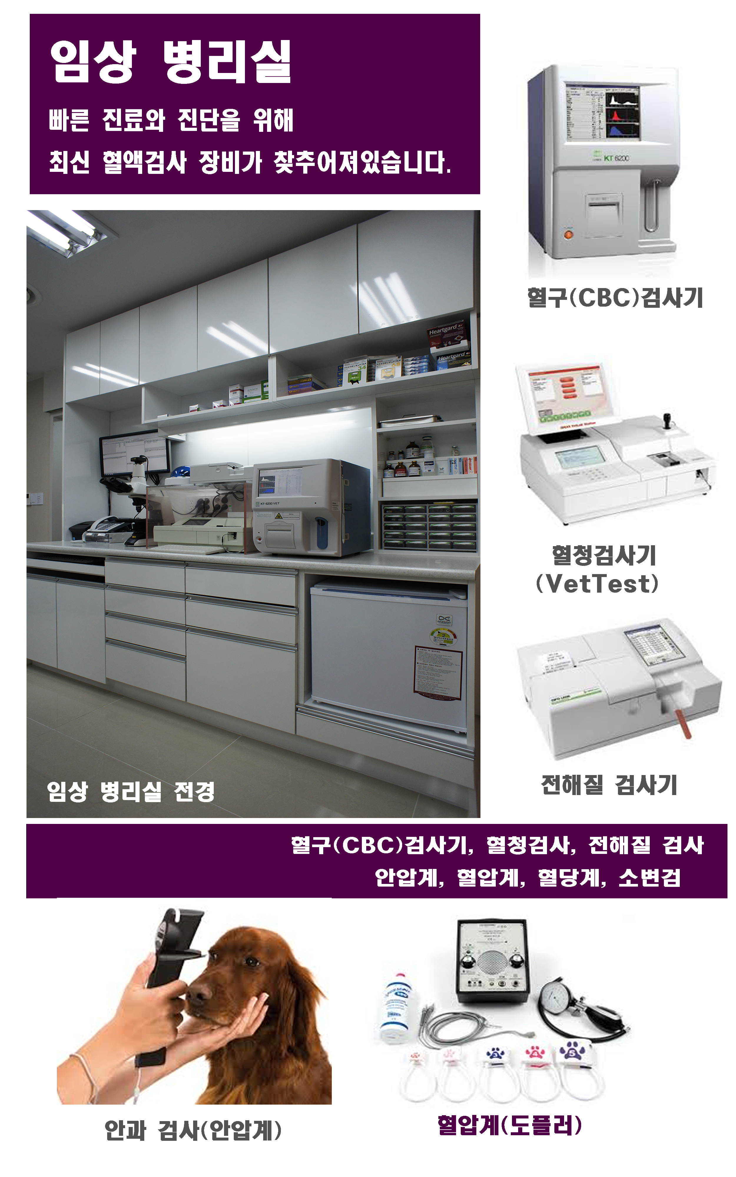 스카이 동물병원 대표 이미지