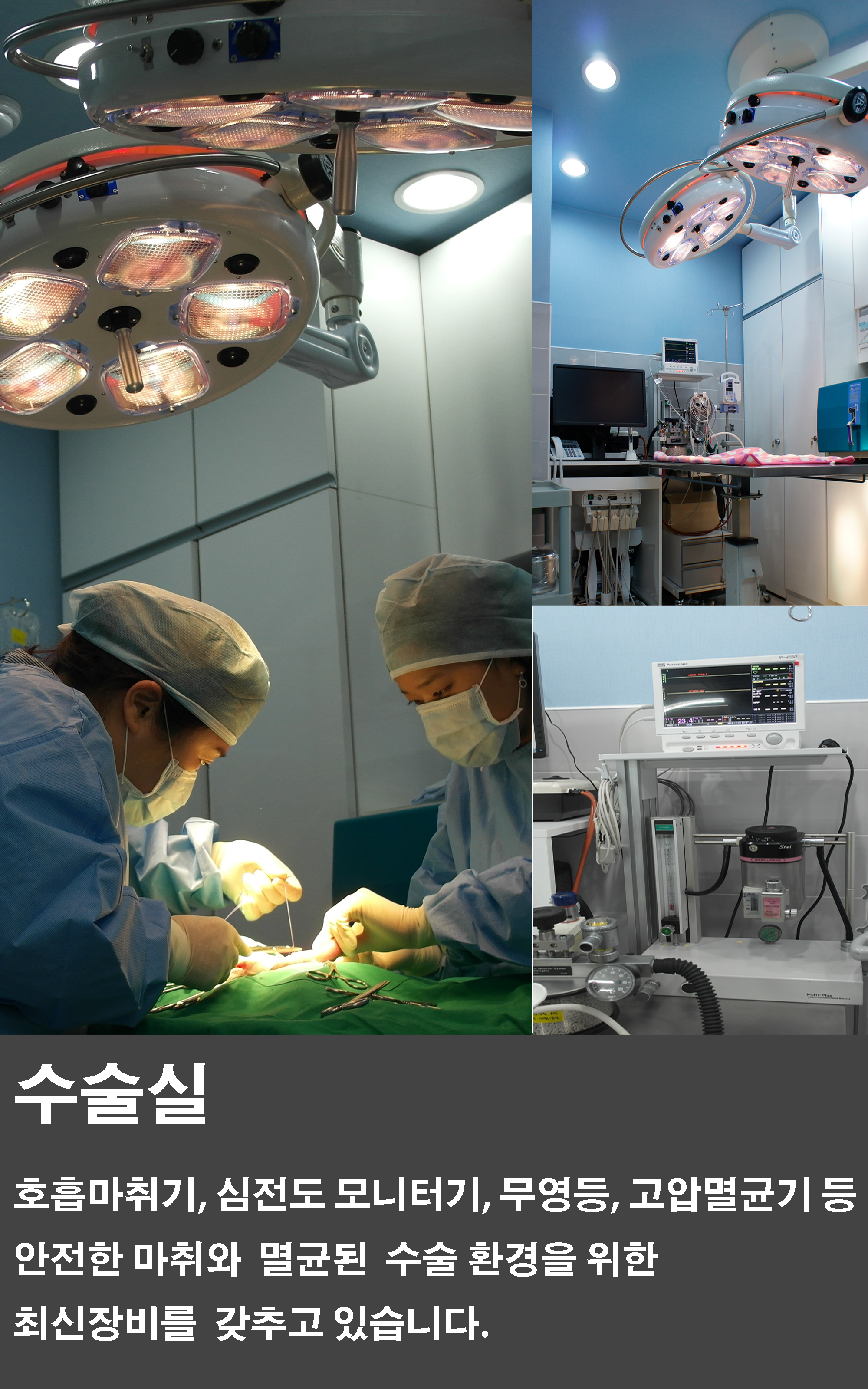 스카이 동물병원 대표 이미지