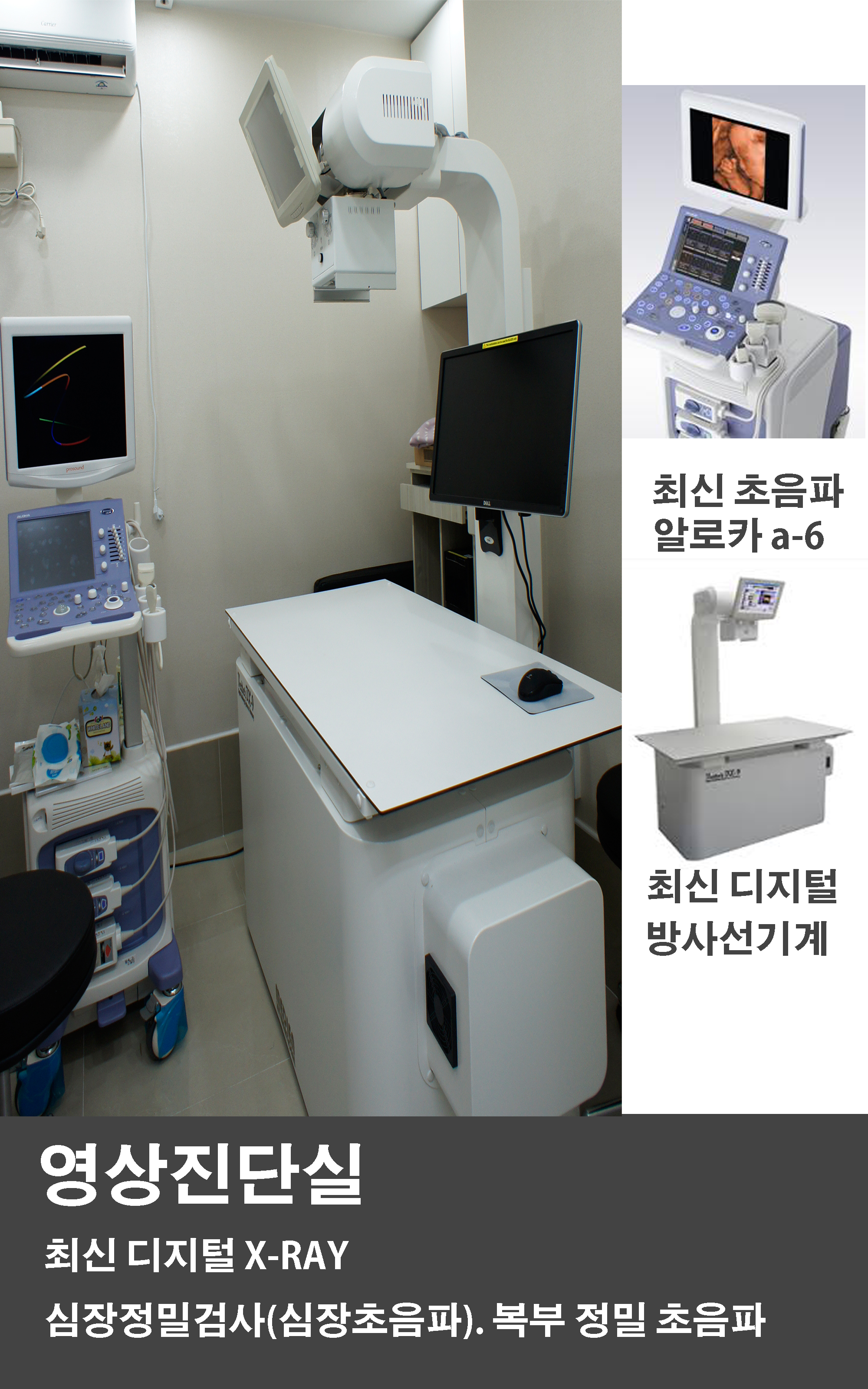 스카이 동물병원 대표 이미지
