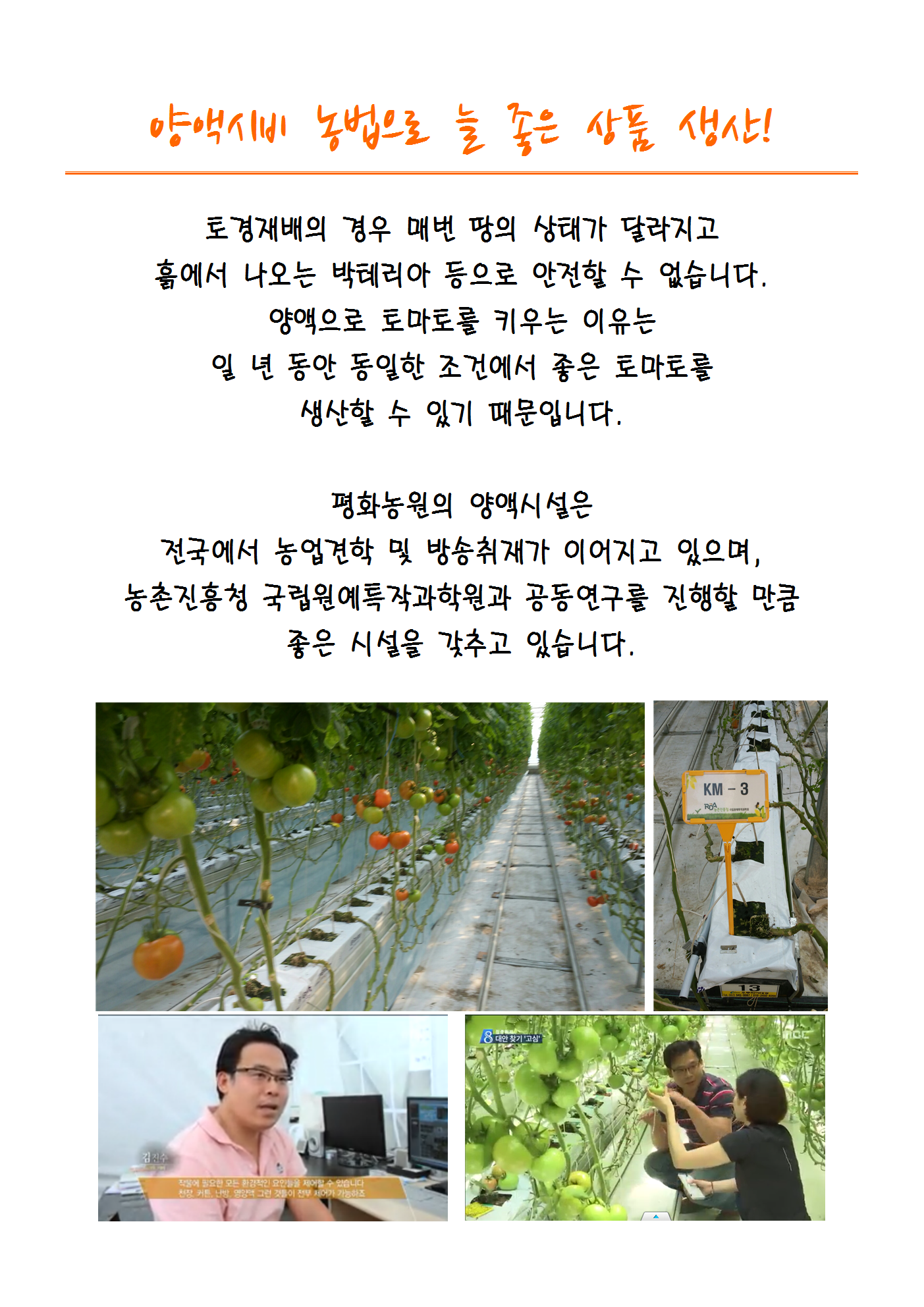 평화농원