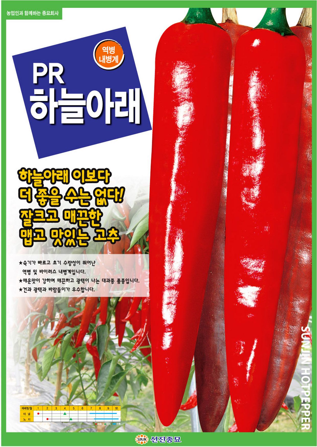 선진종묘