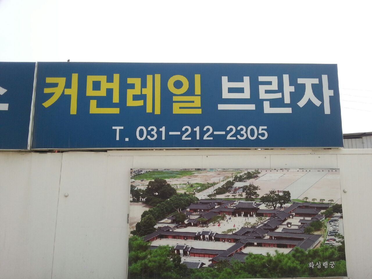 오토드림커먼레일브란자
