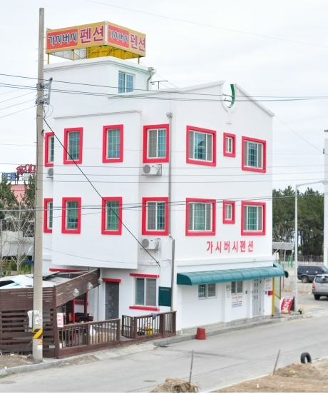 가시버시