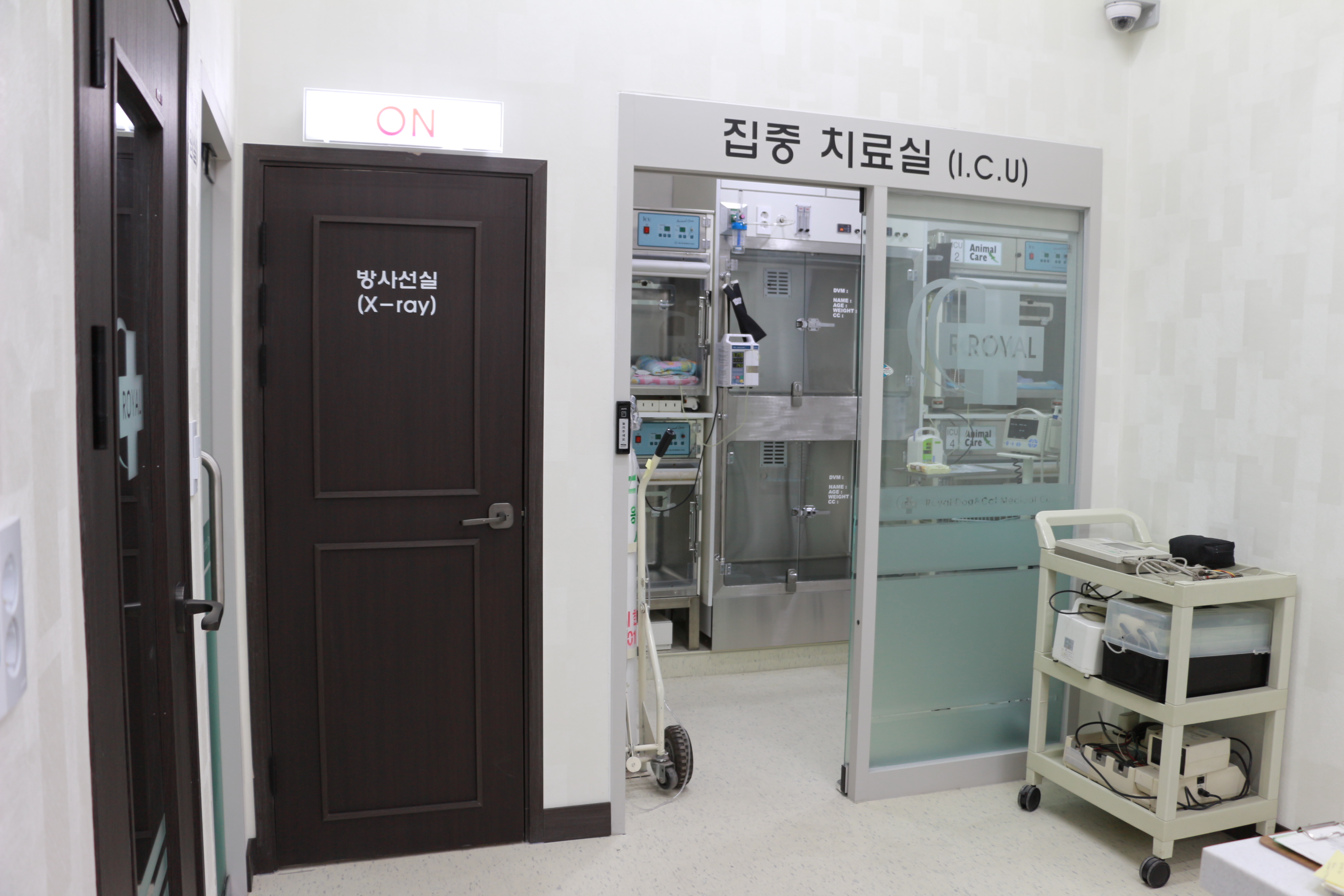 로얄도그&캣메디컬센터 스타건대점