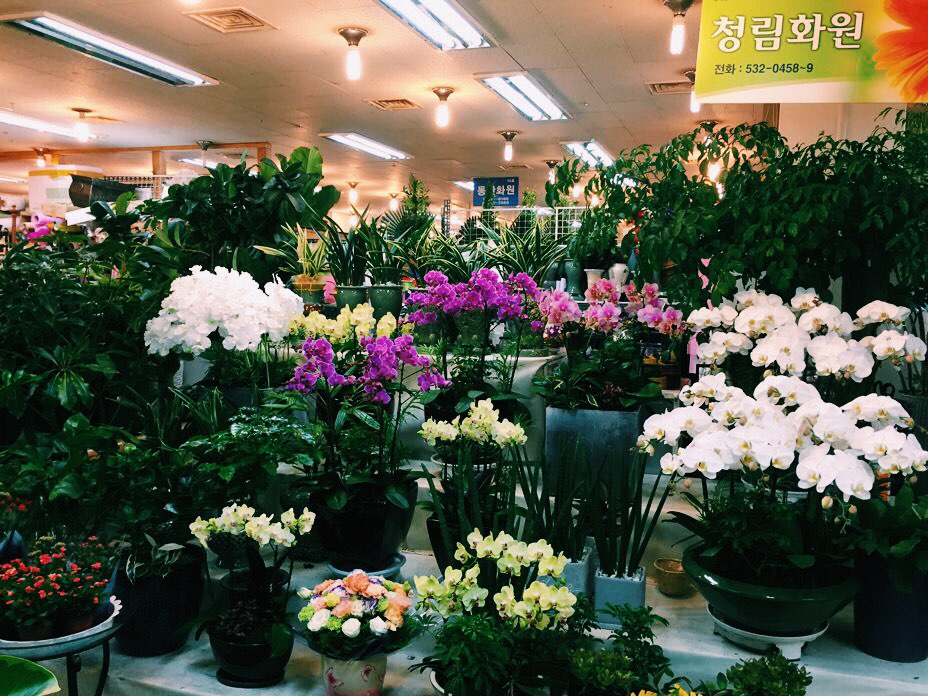 청림화원