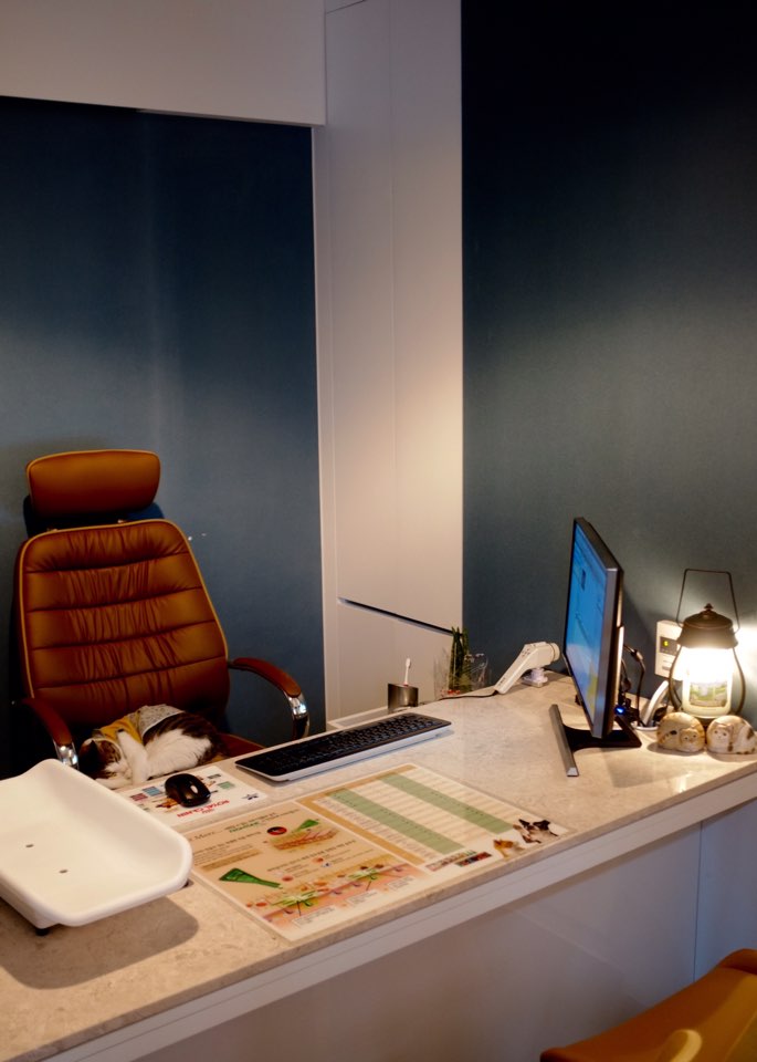 어울림동물병원 대표 이미지