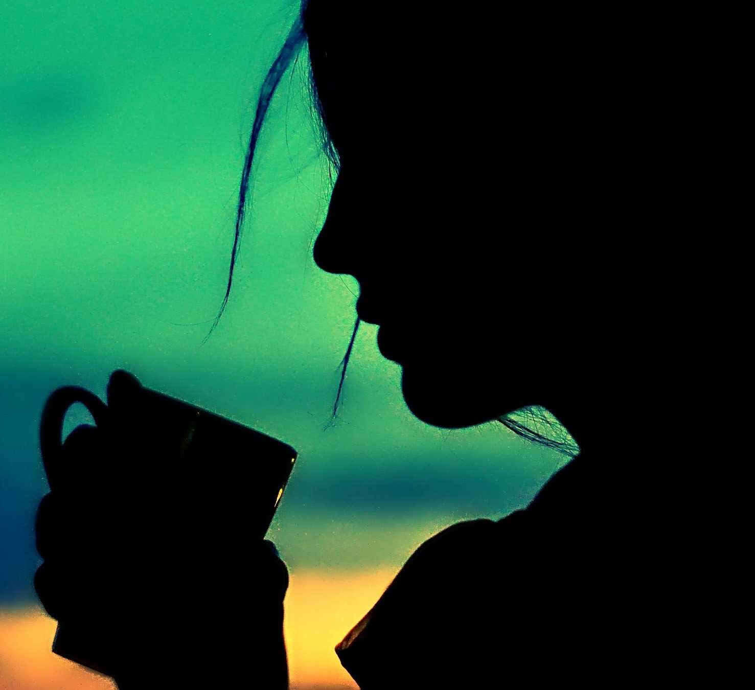 초당가는길 대표 이미지