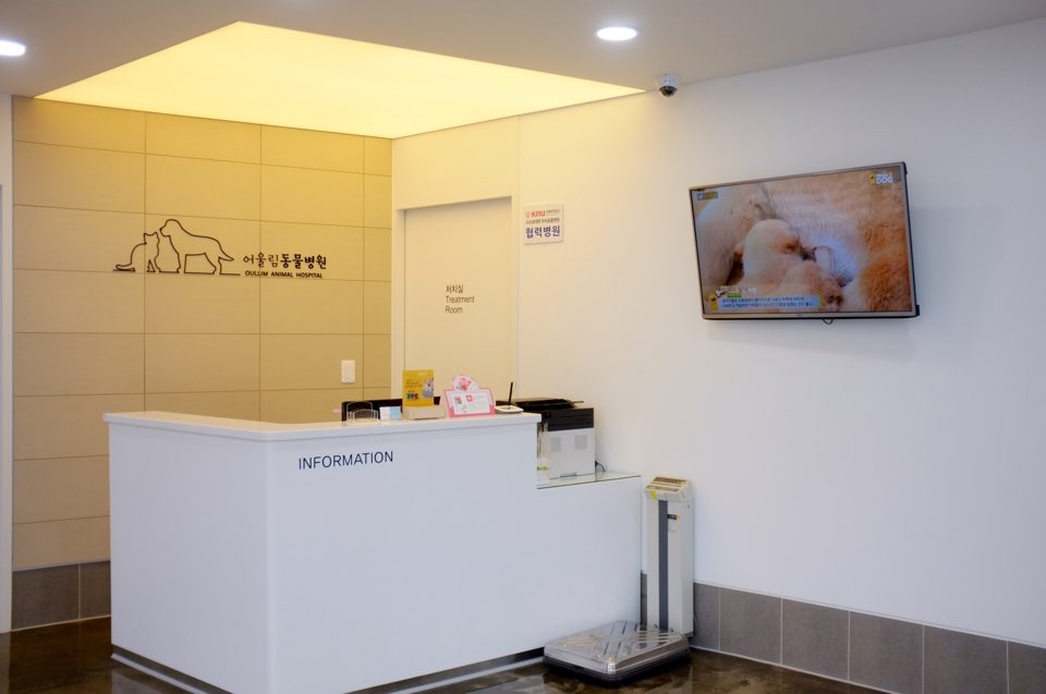 어울림동물병원 대표 이미지